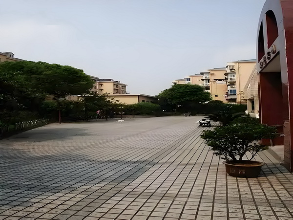 风花悄落